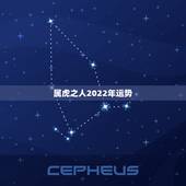属虎之人2022年运势，属虎人2022年本命年运势