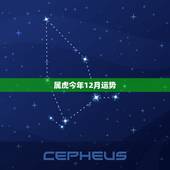 属虎今年12月运势，生肖属虎人每月运势详解