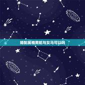 婚配属相男蛇与女马可以吗，属蛇的和什么属相宜婚配