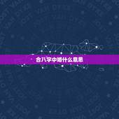 合八字中婚什么意思，八字合婚什么意思？是多少？
