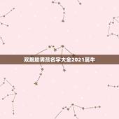 双胞胎男孩名字大全2021属牛，好听稀少的男孩名字2021