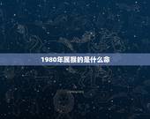 1980年属猴的是什么命，猴年1980年12月30日9点生命好吗？