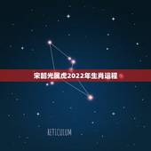 宋韶光属虎2022年生肖运程 2022生肖全年运势大全