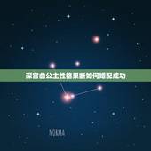 深宫曲公主性格果断如何婚配成功，《深宫曲》怎么刷皇上好感？
