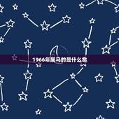 1966年属马的是什么命，1966年属马五行克什么命