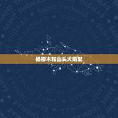 杨柳木和山头火婚配，我是剑锋金命老公是山头火结婚造日子是杨柳木可以吗？