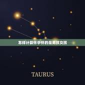 怎样计算怀孕怀的是男孩女孩，怎么算怀的是男孩还是女孩