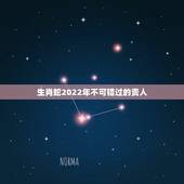 生肖蛇2022年不可错过的贵人，生肖蛇2022 年运势
