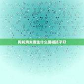 狗和鸡夫妻生什么属相孩子好，老公属鸡我属狗，生个什么属相的孩子最好？