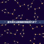 属牛找什么属相最好属蛇的几岁了，属蛇和什么属相最配