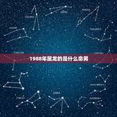 1988年属龙的是什么命男，88年属龙是什么命