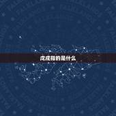 戊戌指的是什么，雅指的是什么