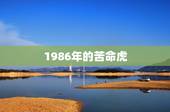 1986年的苦命虎，86属虎一生有几次婚姻