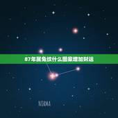 87年属兔纹什么图案增加财运，生肖兔纹什么