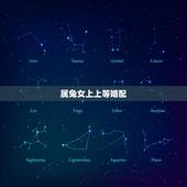 属兔女上上等婚配，配的属相，属兔女的属相婚配表，女属兔和什么属相最配
