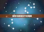 鼠和马属相合不合婚姻，女马男鼠婚姻会幸福吗