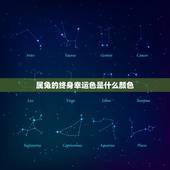属兔的终身幸运色是什么颜色，2011属兔人永远最旺的颜色
