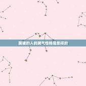 属猪的人的脾气性格是怎样的，属猪男人的性格和脾气