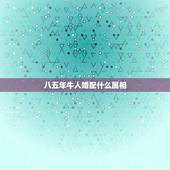 八五年牛人婚配什么属相，属牛的属相婚配表