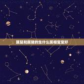 属鼠和属猪的生什么属相宝宝好，属鼠的和属猪的生什么属性的孩子好