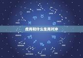 虎肖和什么生肖对冲，大肖和小肖指什么生肖