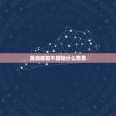 属相婚配不服输什么意思，属相婚配