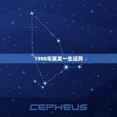 1988年属龙一生运势，88年属龙的一辈子财运