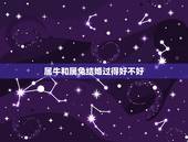 属牛和属兔结婚过得好不好，1987年属兔和属牛的相配吗