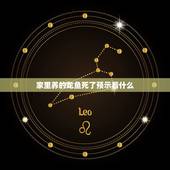 家里养的龙鱼死了预示着什么，养了三条银龙 两条银龙突然竖着快死了……高