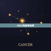2022年蛇男运势，2022年属蛇人的全年运势