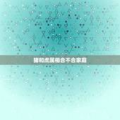 猪和虎属相合不合家庭，老虎跟猪属相合不合