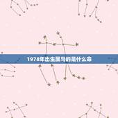 1978年出生属马的是什么命，1978年属马五行属什么缺什么？