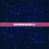 属羊的属相适合戴什么，属羊的戴什么属相的生肖好