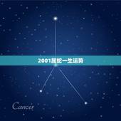 2001属蛇一生运势，2001年3月21日出生属蛇是什么命