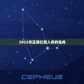 2022年正缘红鸾入命的生肖，2022 年注定会遇见真爱的生肖