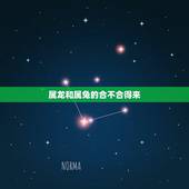 属龙和属兔的合不合得来，属兔和属龙可以合伙做生意吗