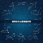 属狗女什么属相最好命，属狗的人和什么属相相配最好