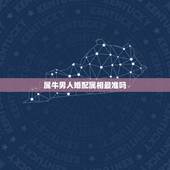 属牛男人婚配属相最准吗，属牛的男人婚配属龙的女人，属相对吗？