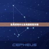 生肖虎和什么生肖最配配对表，生肖虎配对大全