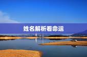 姓名解析看命运，陈善业姓名解析命运？