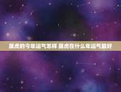 属虎的今年运气怎样 属虎在什么年运气最好