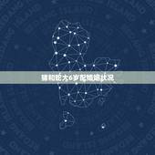 猪和蛇大6岁配婚姻状况，女比男大六岁，女属猪，男属蛇，可以结婚吗？