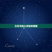 三月马和七月蛇的婚配，男孩蛇女孩马都是农历7月出生婚配合适吗？