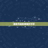 属蛇与鼠配婚姻好不好，我是属蛇的与属兔的婚姻好不好？