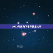 2022年属兔下半年要出大事，2022年属兔运程