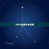 2022年是什幺生肖，2022年是什么生肖年份