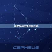 属虎86年出生是什么命，86年属虎的人2022 年运程