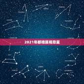 2021年都啥属相忌星，2021年清明节属什么