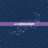 2022属兔的运势如何，属兔人2022年财运1987年属兔在2022年