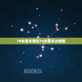 79年属羊男和79年属羊女婚配，男属羊的和什么属相最配